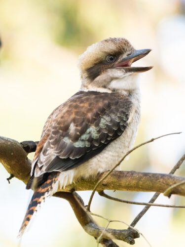 Fine Art & Giclée Printing photo review